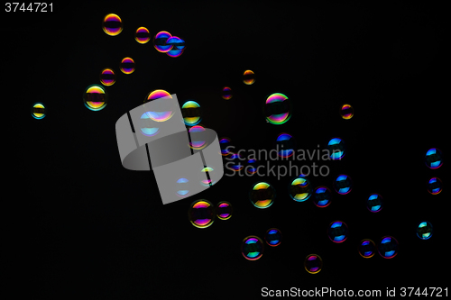 Image of Soap Bubbles On A Black Background