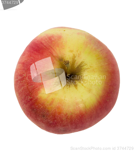 Image of fresh juicy red and yellow apple isolated
