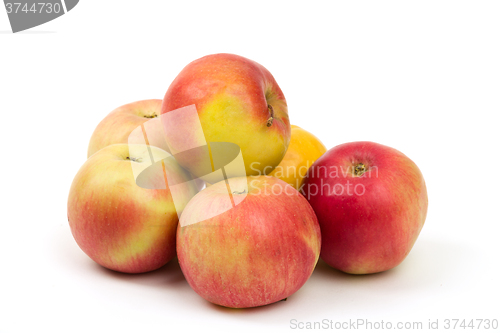Image of fresh juicy red and yellow apples isolated