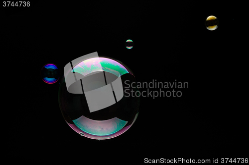 Image of Soap Bubbles On A Black Background