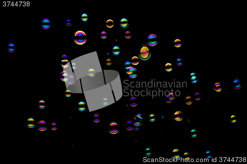 Image of Soap Bubbles On A Black Background