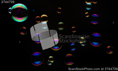 Image of Soap Bubbles On A Black Background