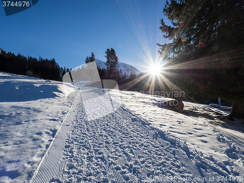 Image of A trail in Klosters