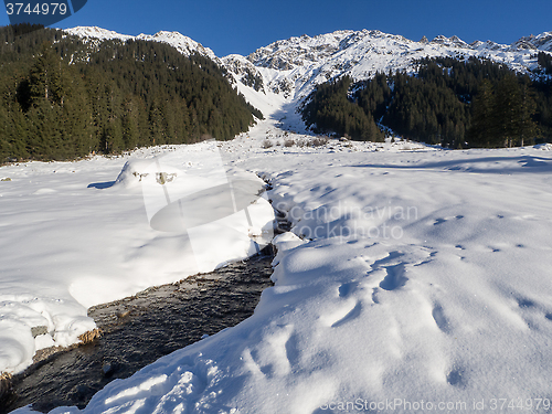 Image of A trail in Klosters