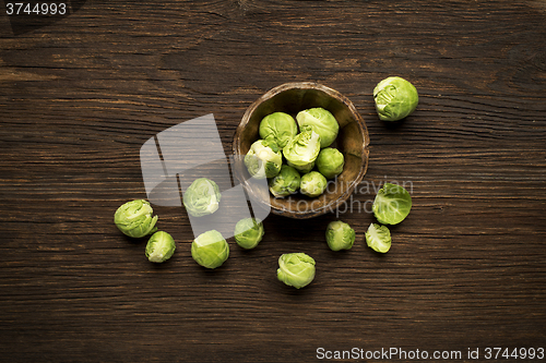 Image of Brussels sprout