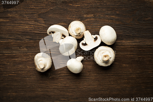 Image of Mushrooms 