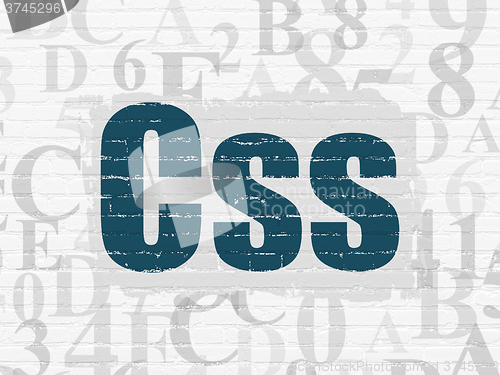 Image of Database concept: Css on wall background