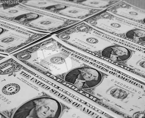 Image of Black and white Dollar notes 1 Dollar