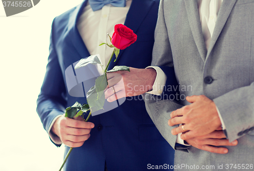 Image of close up of happy male gay couple holding hands