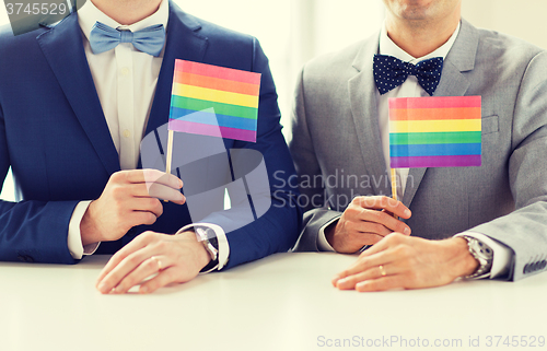 Image of close up of male gay couple holding rainbow flags