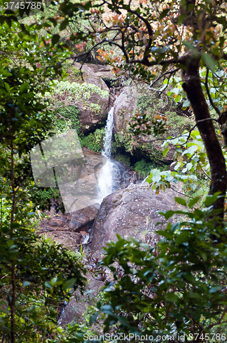 Image of Waterfall, rocks and forest. Sri Lanka