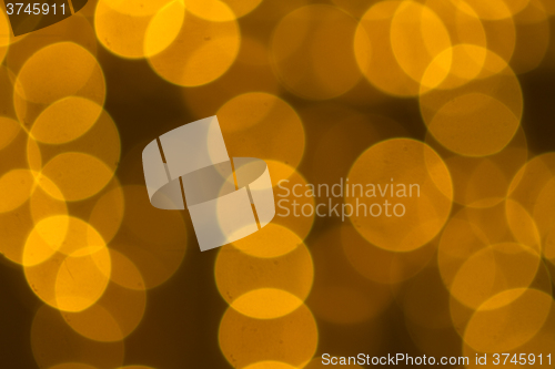 Image of Beautiful Bokeh