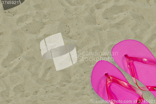 Image of Pink Flip Flops