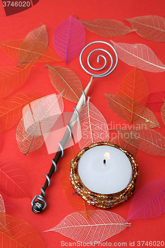 Image of Olive Spoon