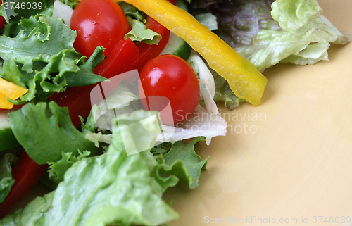 Image of Fresh Salad