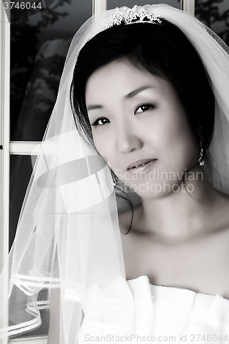 Image of Beautiful bride