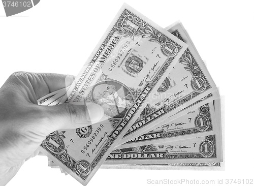 Image of Black and white Dollar notes  isolated
