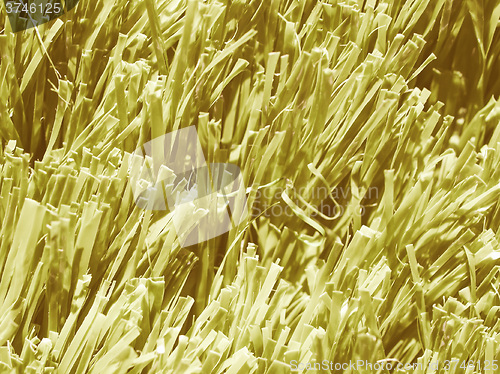 Image of  Artificial meadow vintage