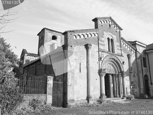 Image of Black and white Santa Fede, Cavagnolo