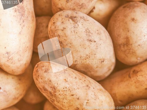 Image of Retro looking Potato vegetable