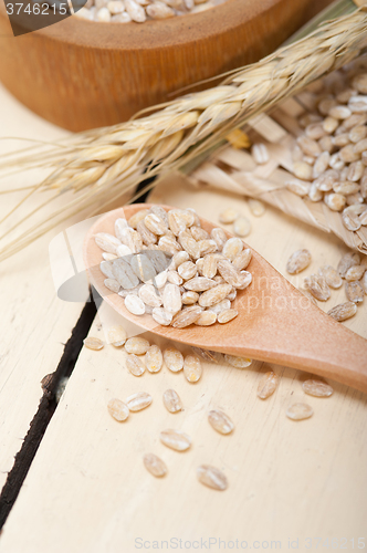 Image of organic wheat grains 