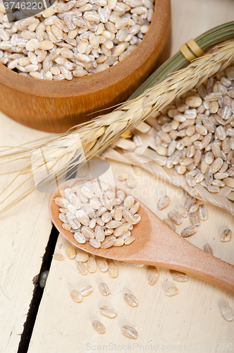Image of organic wheat grains 