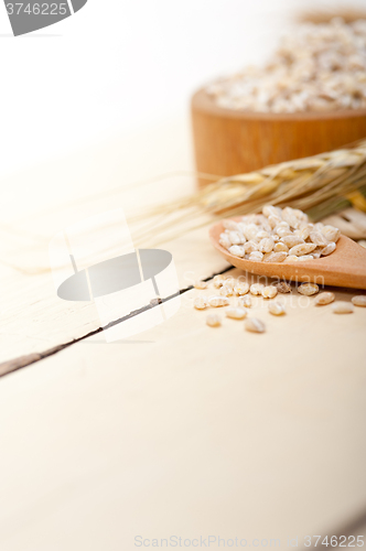 Image of organic barley grains