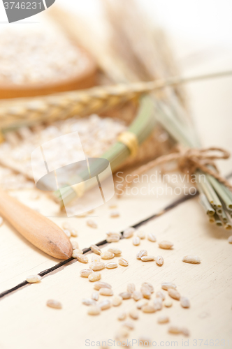 Image of organic barley grains