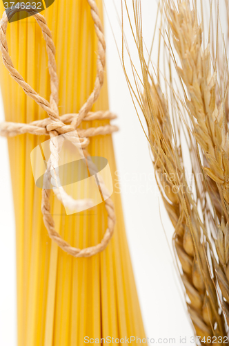 Image of organic Raw italian pasta and durum wheat 