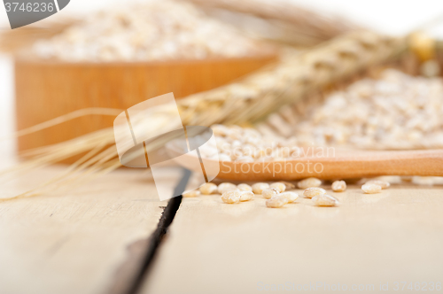 Image of organic wheat grains 