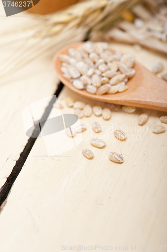 Image of organic barley grains