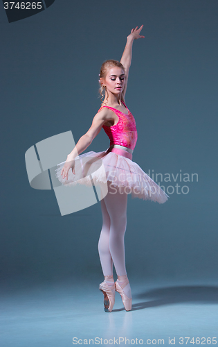 Image of Portrait of the ballerina in ballet pose