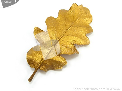 Image of golden leaf