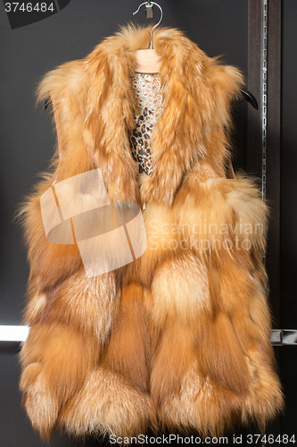 Image of fox fur vest 