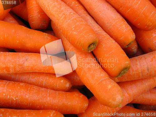 Image of carrots