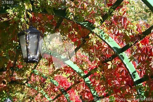 Image of Autumn