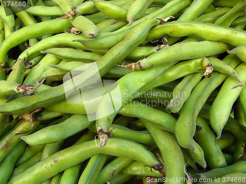 Image of green beans