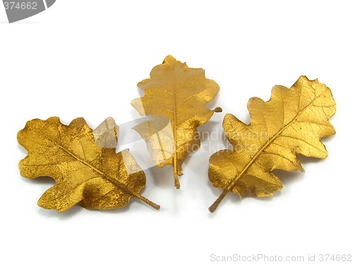 Image of golden leaves