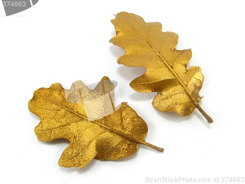 Image of golden leaves