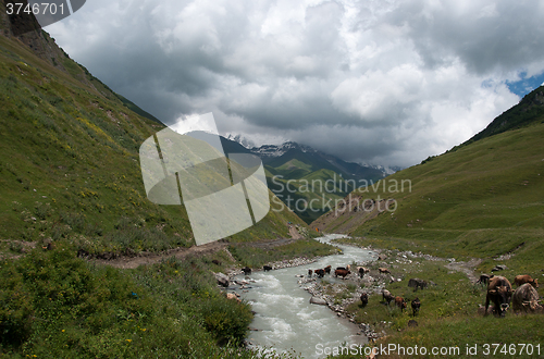 Image of Hiking in mountain