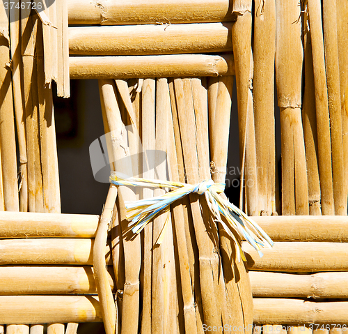 Image of texture bamboo in morocco africa brown natural line closeup