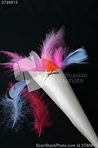Image of Feather Confetti