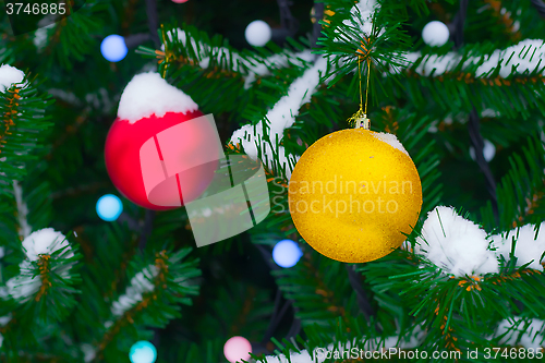 Image of Yellow and red Christmas balls on fir branch in snow. Christmas 