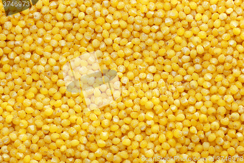 Image of Millet millet photographed