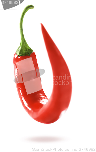 Image of Fresh Red Hot Chili Pepper.