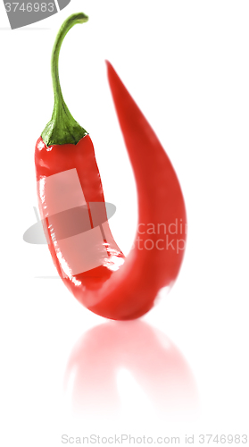 Image of Fresh Red Hot Chili Pepper.