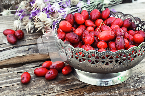 Image of Vase with ripe cornelian cherry