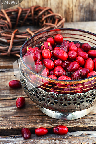 Image of Vase with ripe cornelian cherry