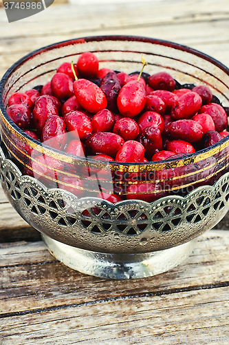 Image of Vase with ripe cornelian cherry