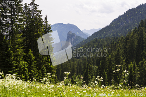 Image of Mountain Kofel in the Bavarian Alps